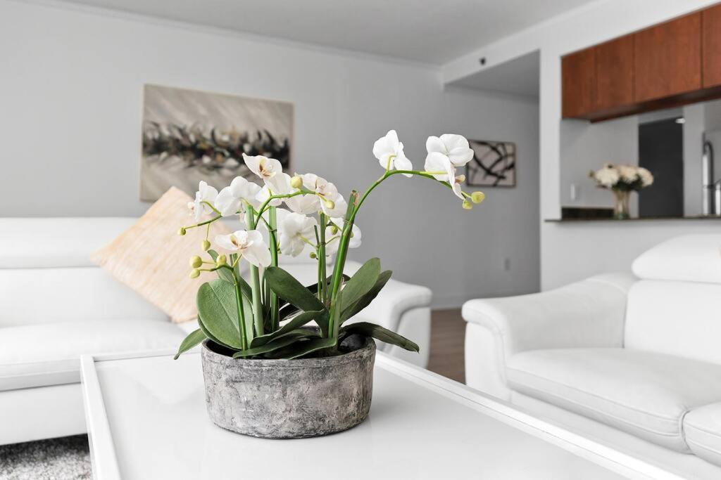 شقة Modern 2/2 With Beautiful Ocean And Brickell Views ميامي المظهر الخارجي الصورة